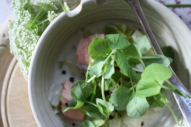Salmon, fennel and parsley with coconut milk 039