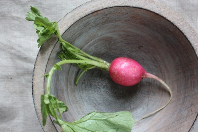 Radish4